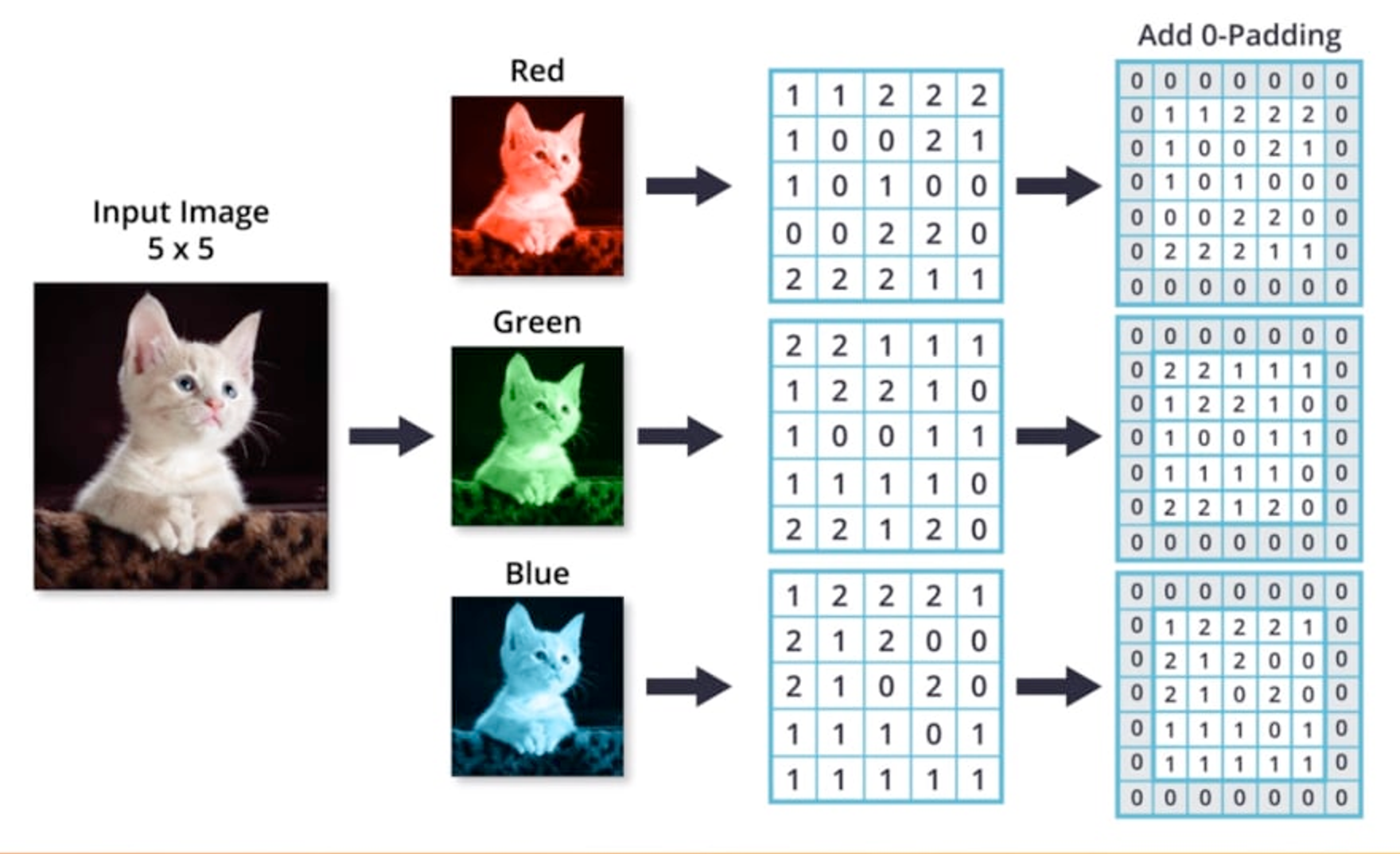 RGB 이미지를 red, green, blue channel 별 분리하여 표시
